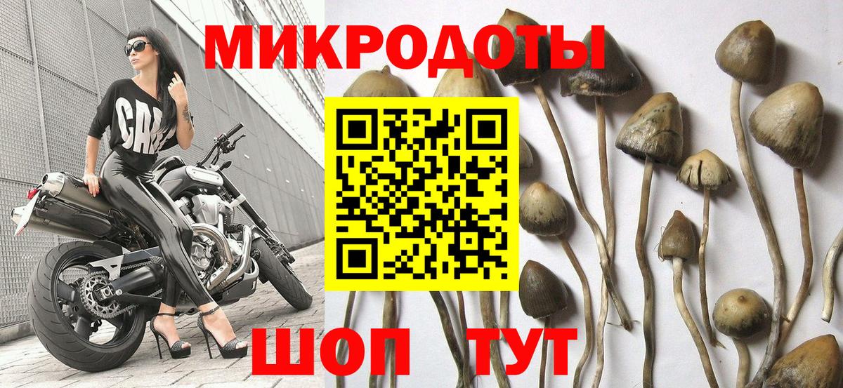 Псилоцибиновые грибы мухоморы  Псилоцибиновые грибы Cubensis  Вход с VPN  Десногорск 